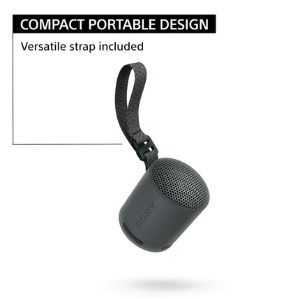 Sony SRS-XB100 Wireless Bluetooth Portable Speaker