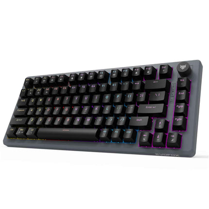 EvoFox Katana X2 TKL Gaming Mechanical Keyboards Wireless –Tri-Mode (BT/2.4G/Wired), Silent Red Switches, 1000Hz Polling Rate, Vivid and Dynamic Backlighting, 4000mAh Battery,Volume Knob (Black) - OPENBOX