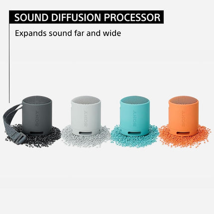 Sony SRS-XB100 Wireless Bluetooth Portable Speaker