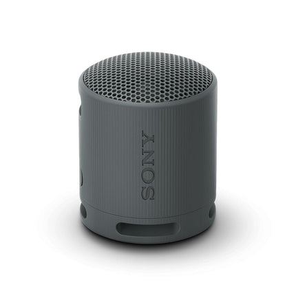 Sony SRS-XB100 Wireless Bluetooth Portable Speaker