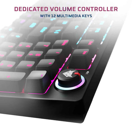 EvoFox Katana X2 FS Mechanical Gaming Keyboard | 3‑Pin Replaceable Clicky Blue Switches, Dynamic Backlighting, All Keys Anti‑Ghosting, Volume Knob, Copilot, Xbox Gamebar, Screenshot - OPENBOX (Assorted Colors)