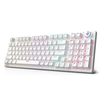 EvoFox Katana X2 FS Mechanical Gaming Keyboard | 3‑Pin Replaceable Clicky Blue Switches, Dynamic Backlighting, All Keys Anti‑Ghosting, Volume Knob, Copilot, Xbox Gamebar, Screenshot - OPENBOX (Assorted Colors)