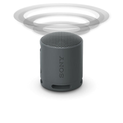 Sony SRS-XB100 Wireless Bluetooth Portable Speaker